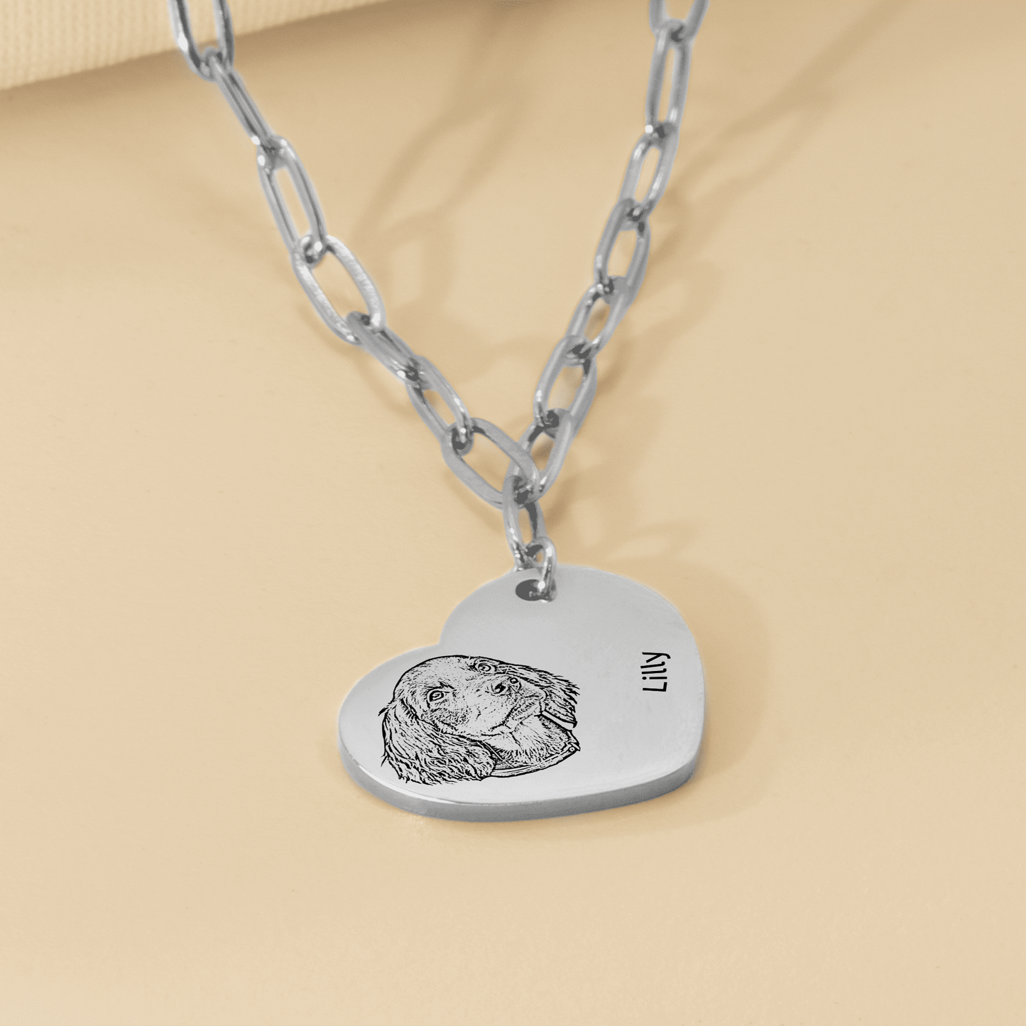 Pet Portrait Heart Necklace with Paperclip Chain