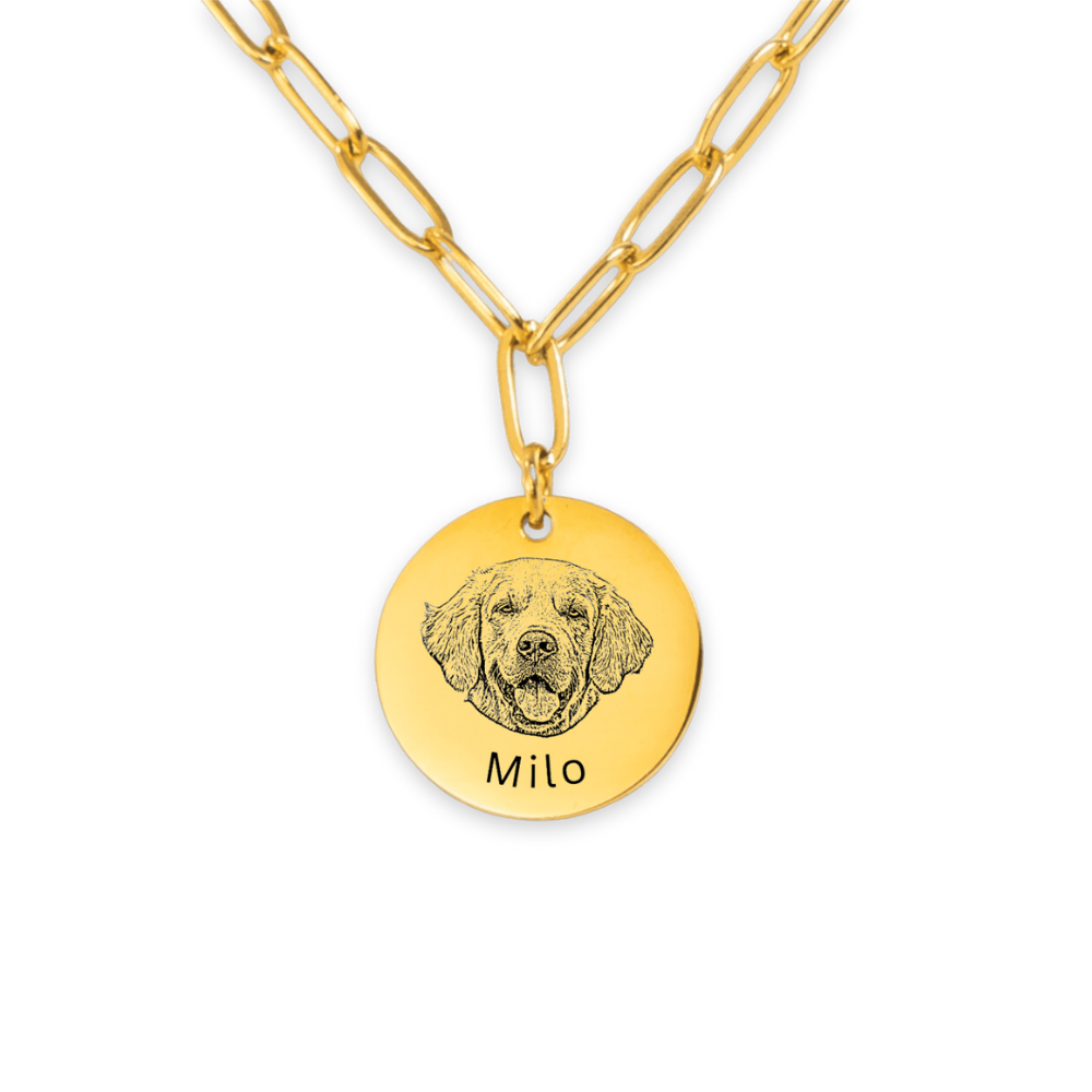 Pet Portrait Coin Necklace with Paperclip Chain