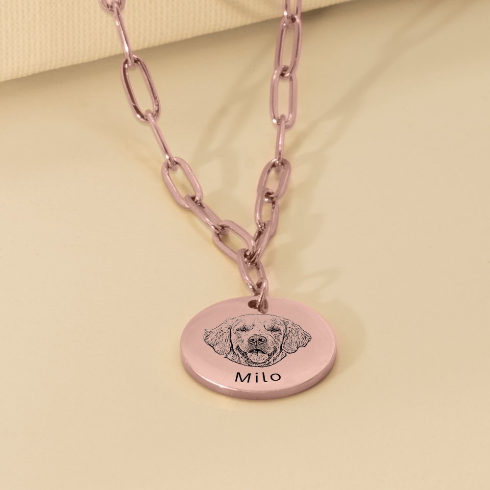 Pet Portrait Coin Necklace with Paperclip Chain