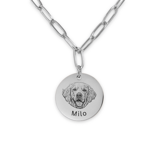 Pet Portrait Coin Necklace with Paperclip Chain